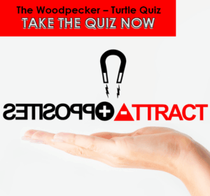 Marriage: Woodpeckers and Turtles—Do Opposites Attract or Attack (Take the Quiz)