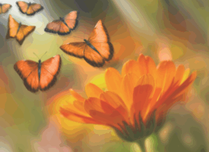 Marriage: What Happens When the Butterflies of Love Die?