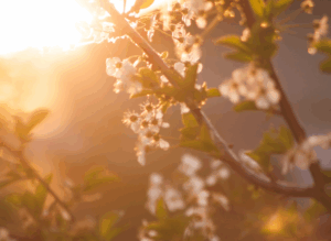 Marriage: Spring Cleaning of the Soul